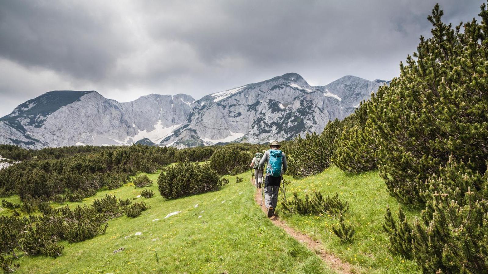 Turisticki Kompleks - Montana تجينتيستيه المظهر الخارجي الصورة